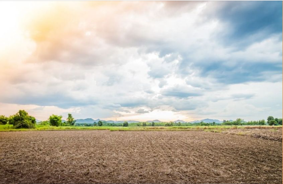 Ảnh minh họa - Thu hồi đất