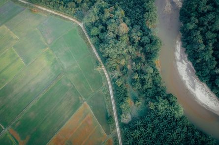 Thủ tục tách thửa - Ảnh minh họa