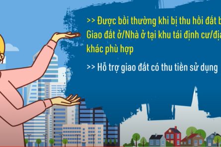 Ảnh minh họa Internet