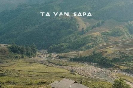 Sapa