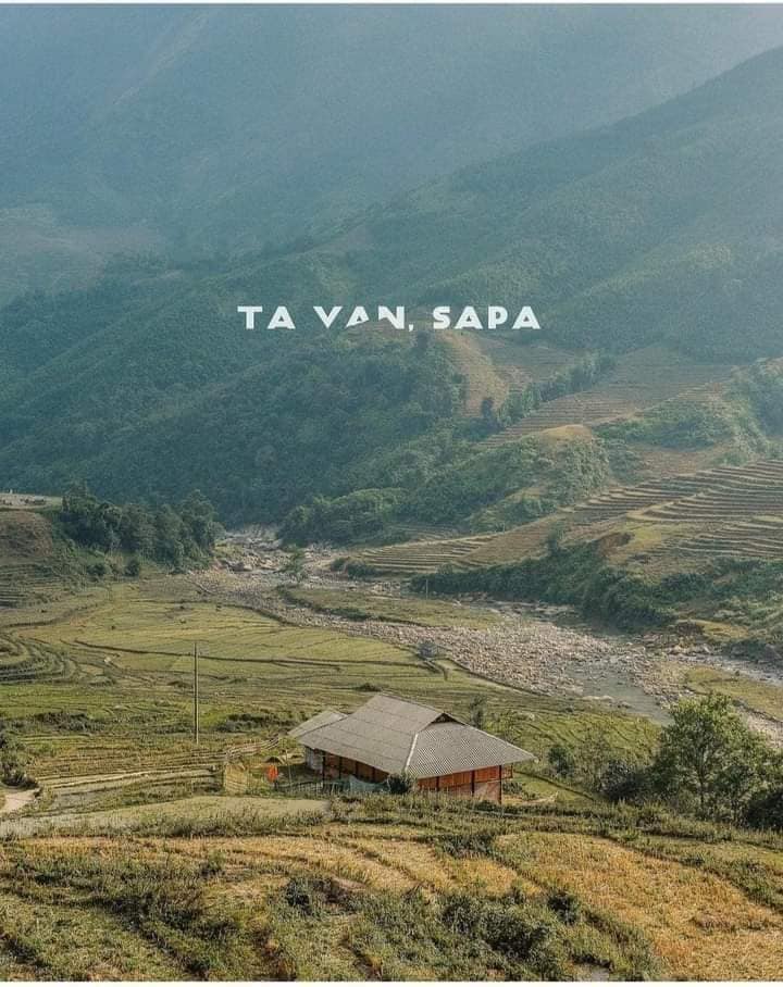 Sapa