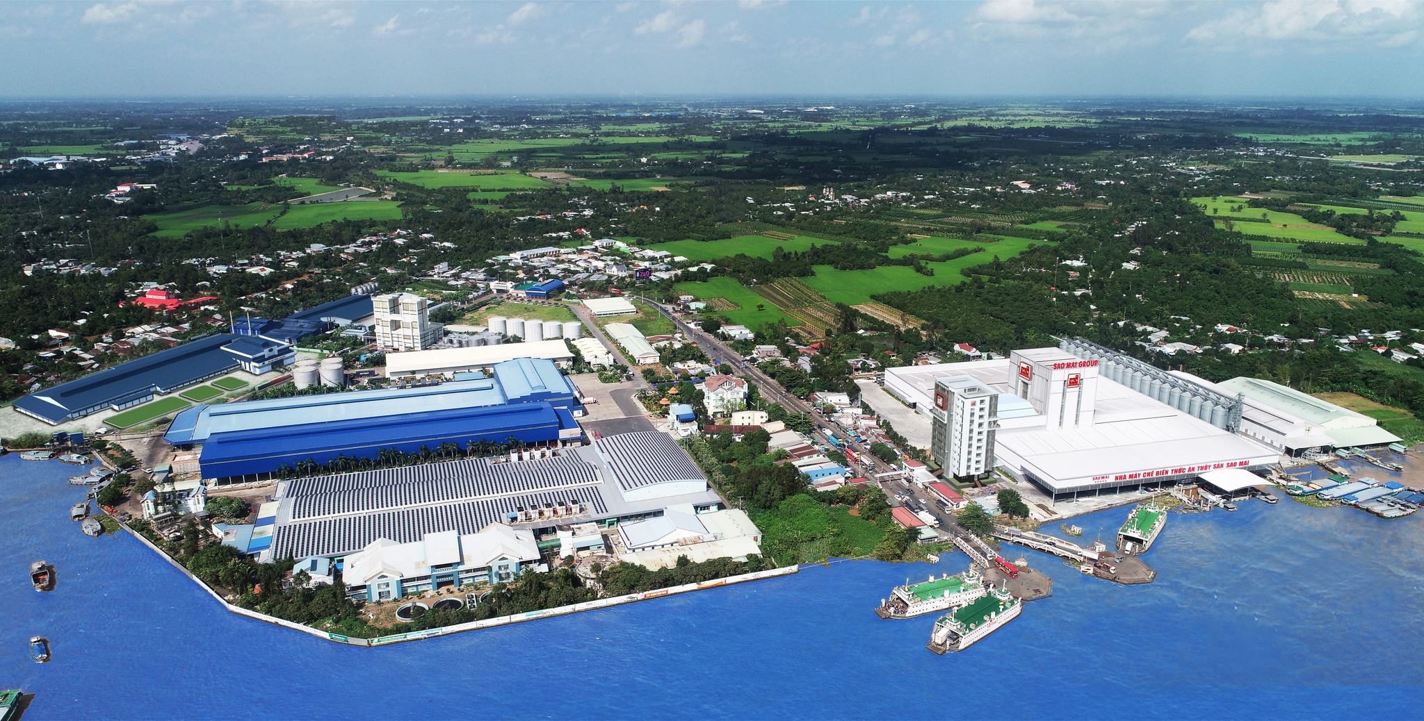 Sao Mai Group của người con Triệu Sơn- Ảnh Internet