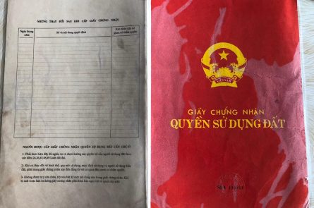 Giấy tờ viết tay - Ảnh minh họa