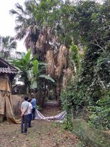     Chu kỳ phát triển rơi vào suy thoái - Ảnh minh họa