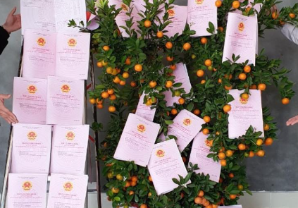 Giấy chứng nhận quyền sử dụng đất