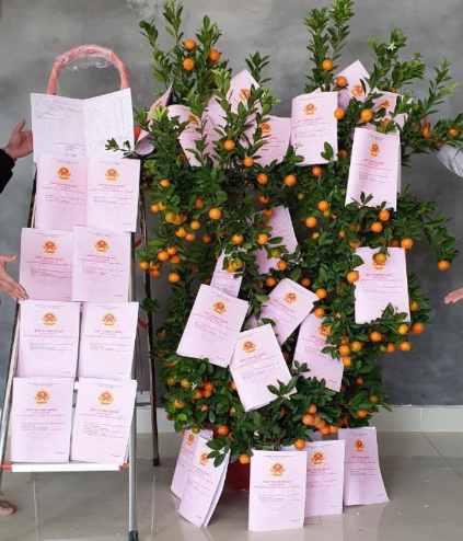 Giấy chứng nhận quyền sử dụng đất