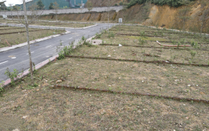 Đất nền - Ảnh minh hoạ