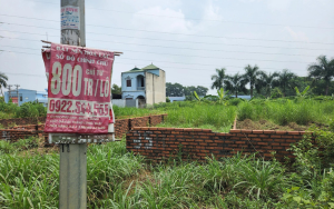 Đất nền - Ảnh minh hoạ