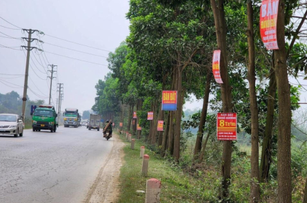 cơn sốt đất nền vùng ven