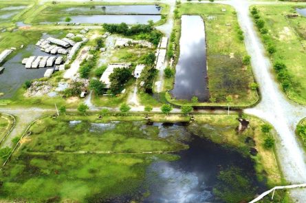 Khu đô thị do Công ty Bách Đạt An làm chủ đầu tư đang bị bỏ hoang - Ảnh minh hoạ