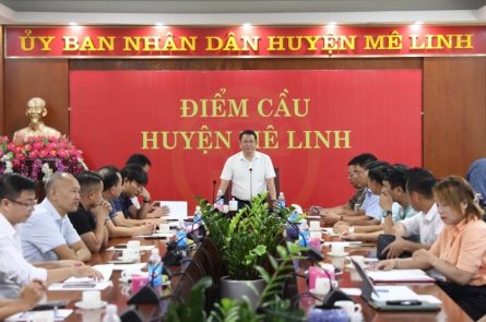 Đấu giá đất tại Mê Linh, Hà Nội