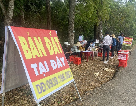 Đấu giá đất - Ảnh minh hoạ