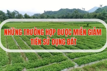 Trường hợp được miễn giảm quyền sử dụng đất