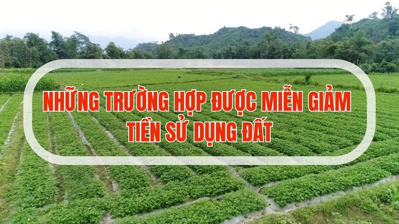 Trường hợp được miễn giảm quyền sử dụng đất