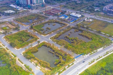 Đất đấu giá từ nhà nước