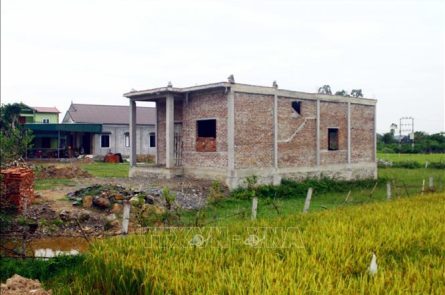 Điều kiện xây nhà trên đất nông nghiệp