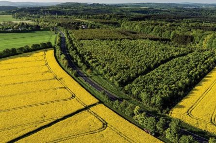 Việc sử dụng quỹ đất công