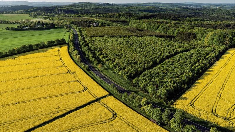 Việc sử dụng quỹ đất công