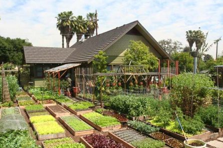 Mô hình nhà vườn kết hợp đầu tư bất động sản