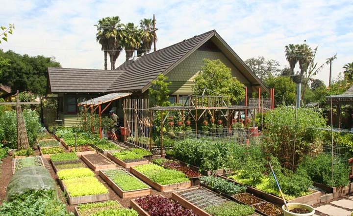 Mô hình nhà vườn kết hợp đầu tư bất động sản